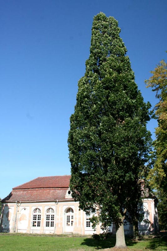 Killikus® Fotographie Killikus® Fotographie